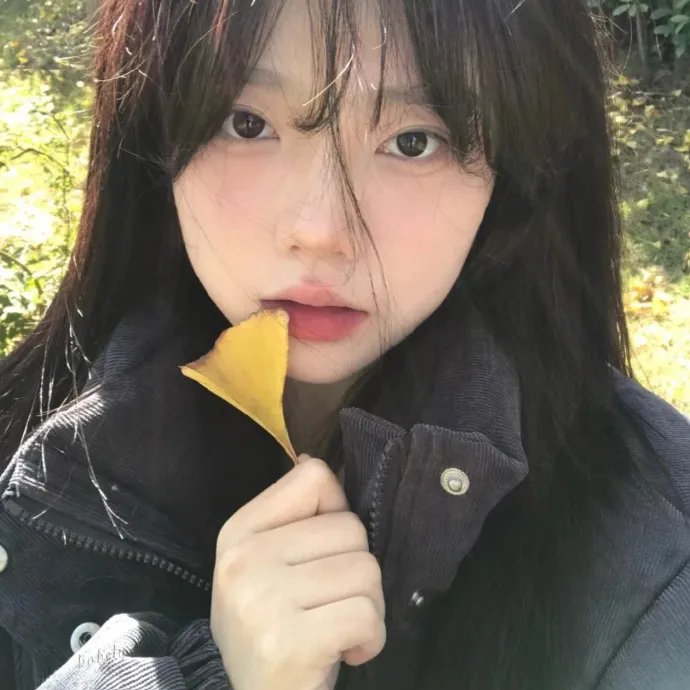 古惑仔情义篇之洪兴十三妹
